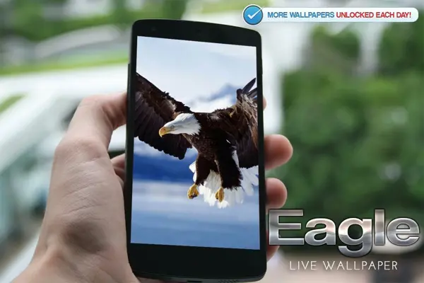 Eagle Live Wallpaper android App screenshot 0