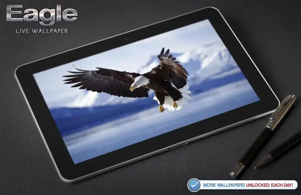 Eagle Live Wallpaper android App screenshot 1