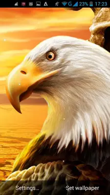 Eagle Live Wallpaper android App screenshot 5