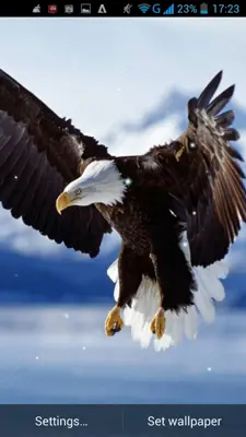 Eagle Live Wallpaper android App screenshot 6