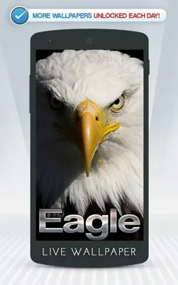 Eagle Live Wallpaper android App screenshot 7